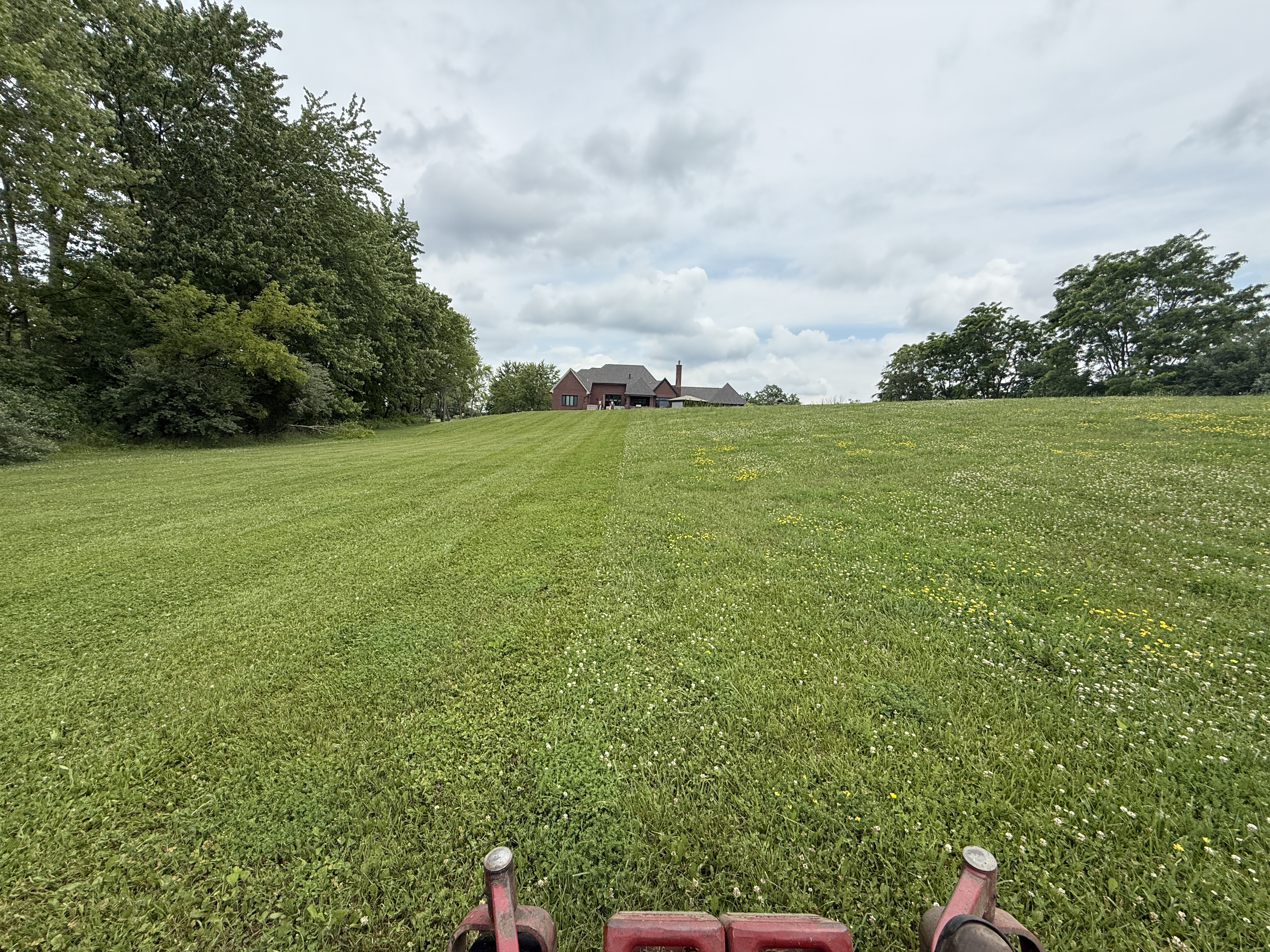 Vivid Landscape Services