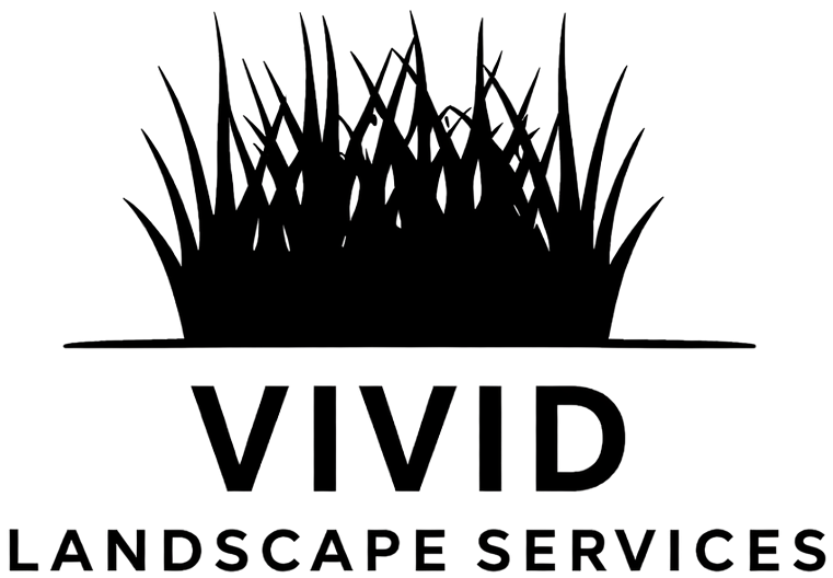 Vivid Landscaping